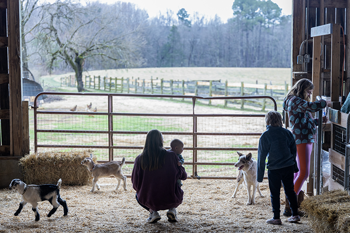 Farm, Forge, & Family